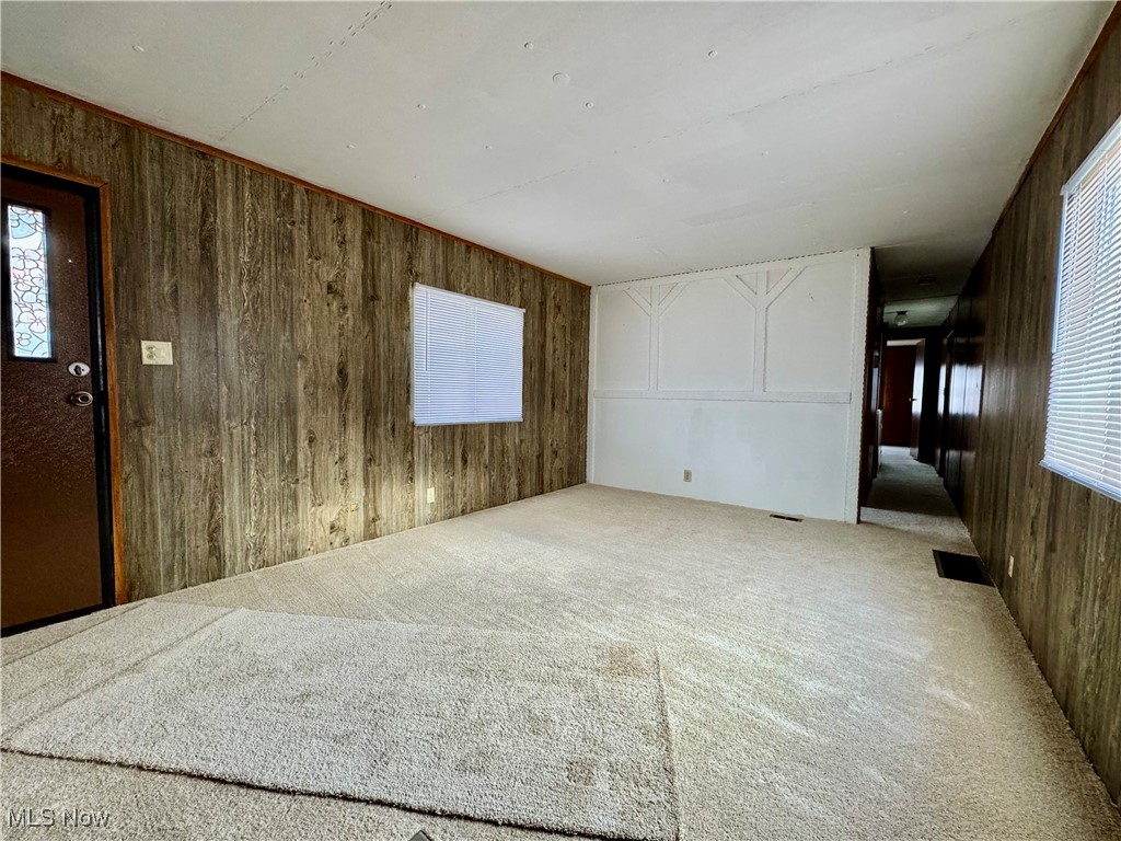 Carpeted spare room with wood walls and a healthy amount of sunlight