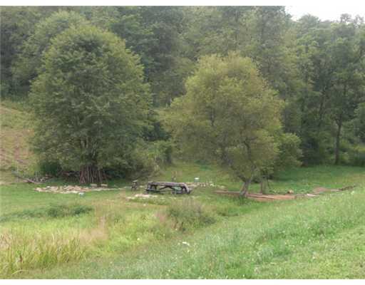 755 Barr Run Road Marianna, PA 15345 - Photo 3 of 12 Land/Lot.