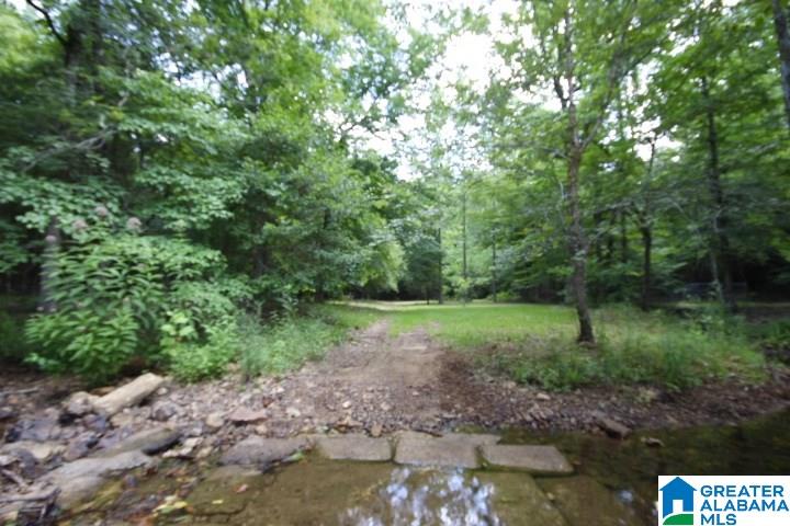 3440 Bulldog Bend Road Brierfield, AL 35035 - Photo 5 of 23