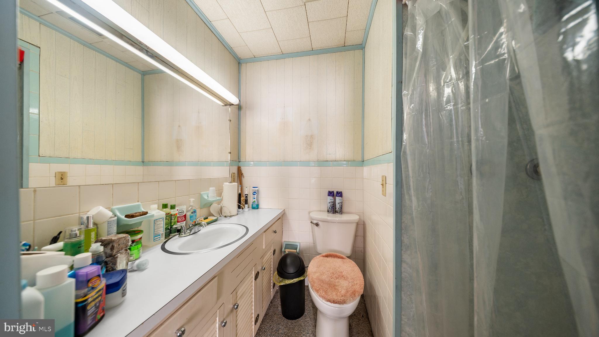 701 East State Street Delmar, DE 19940 - Photo 16 of 23 a bathroom with a sink mirror vanity and toilet