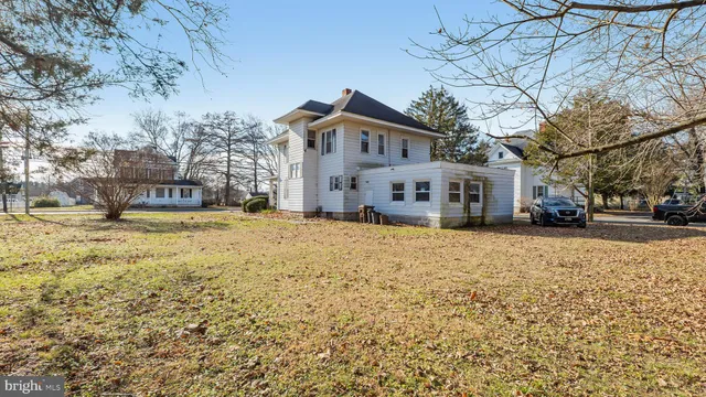 a view of road with large trees