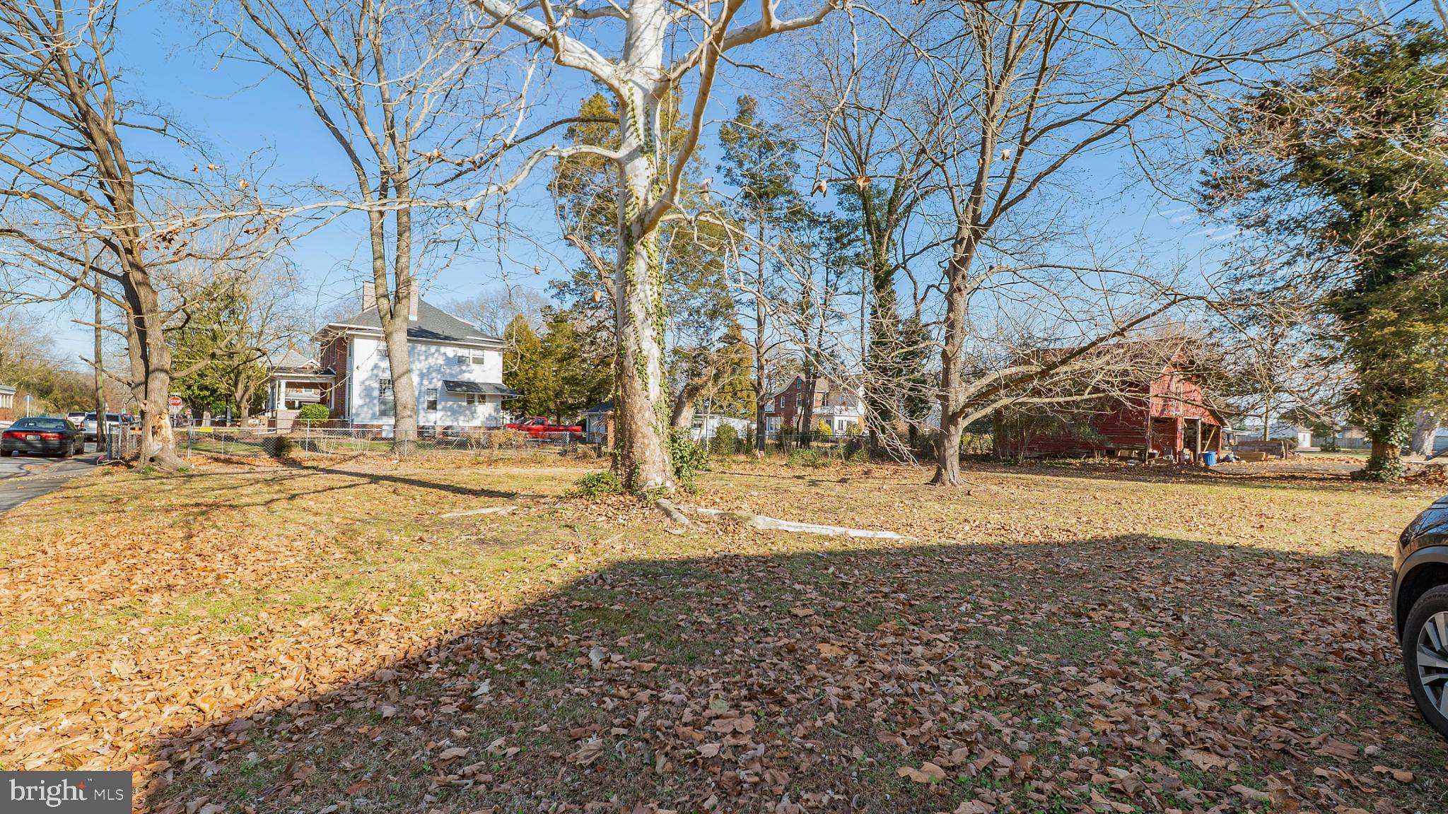 701 East State Street Delmar, DE 19940 - Photo 21 of 23 a view of road with large trees