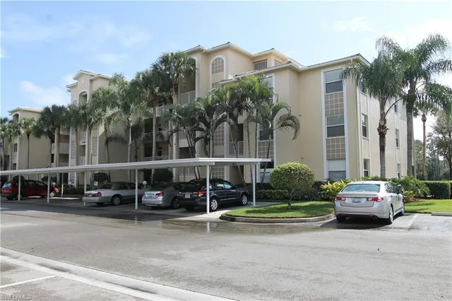 a view of a lake with a palm trees