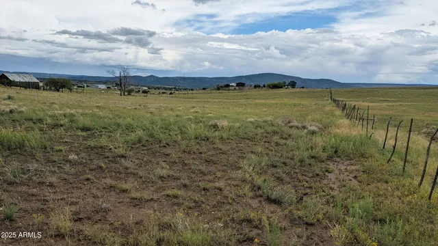 a view of a pathway both side of grassy field with shrub