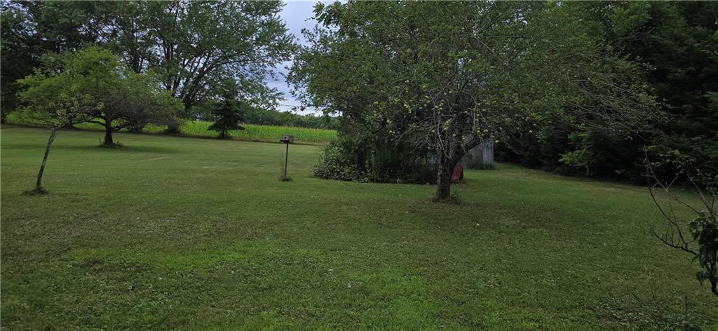17895 Rte 119 Highway North Punxsutawney, PA 15767 - Photo 12 of 15 a view of a park with large trees