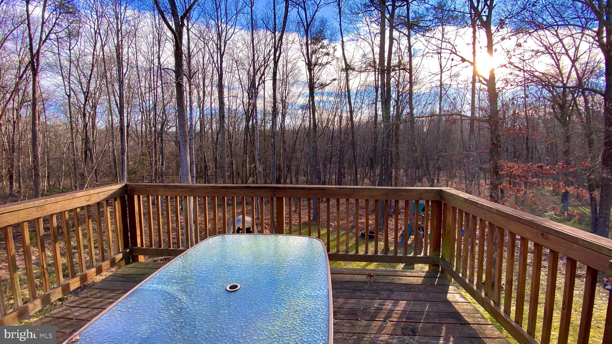 317 Cedar Ridge Drive Ruther Glen, VA 22546 - Photo 13 of 68
