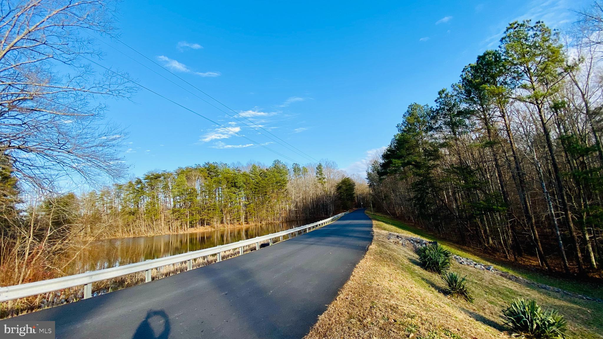 317 Cedar Ridge Drive Ruther Glen, VA 22546 - Photo 57 of 68