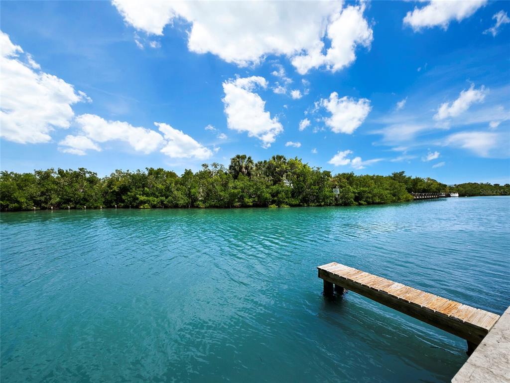 409 Casey Key Road Nokomis, FL 34275 - Photo 48 of 66