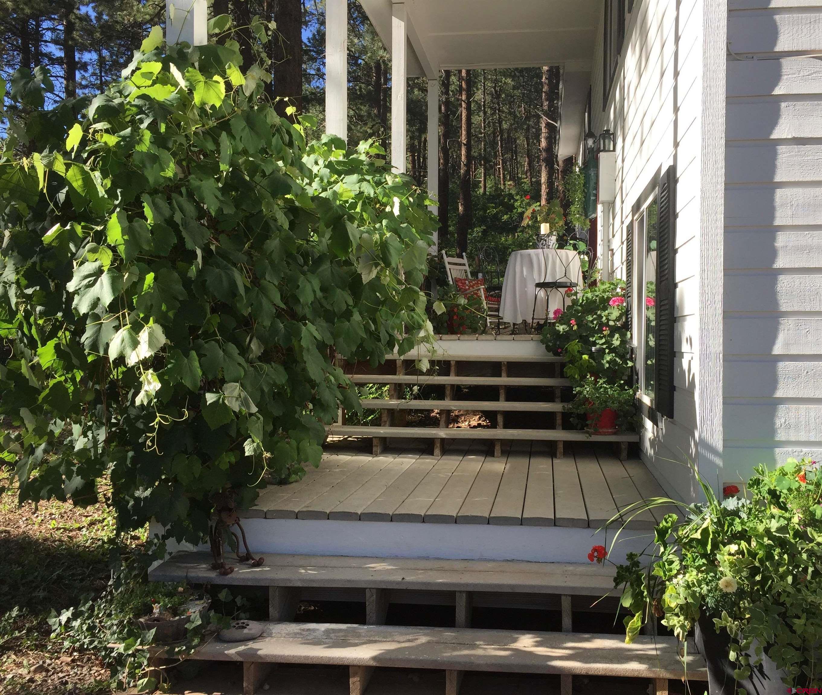 121 Green Ridge Drive Bayfield, CO 81122 - Photo 4 of 25