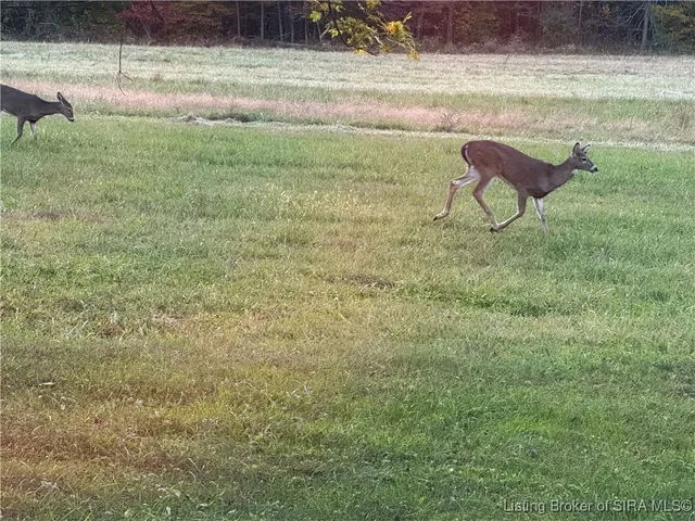 $599,000 | 1637 South County Road 675 East, Paoli, IN 47454