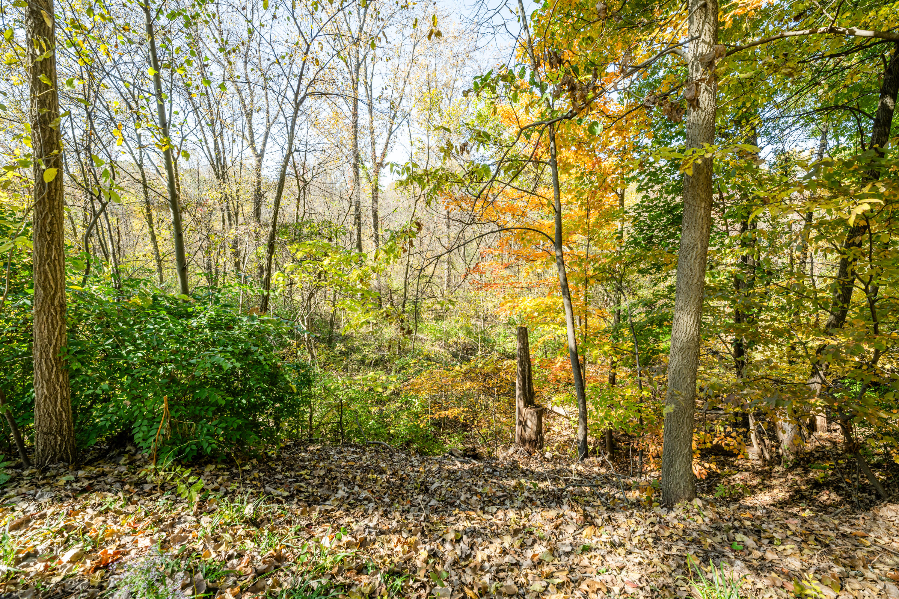 4316 Scottdale Road St. Joseph, MI 49085 - Photo 39 of 52 Scottdale-154