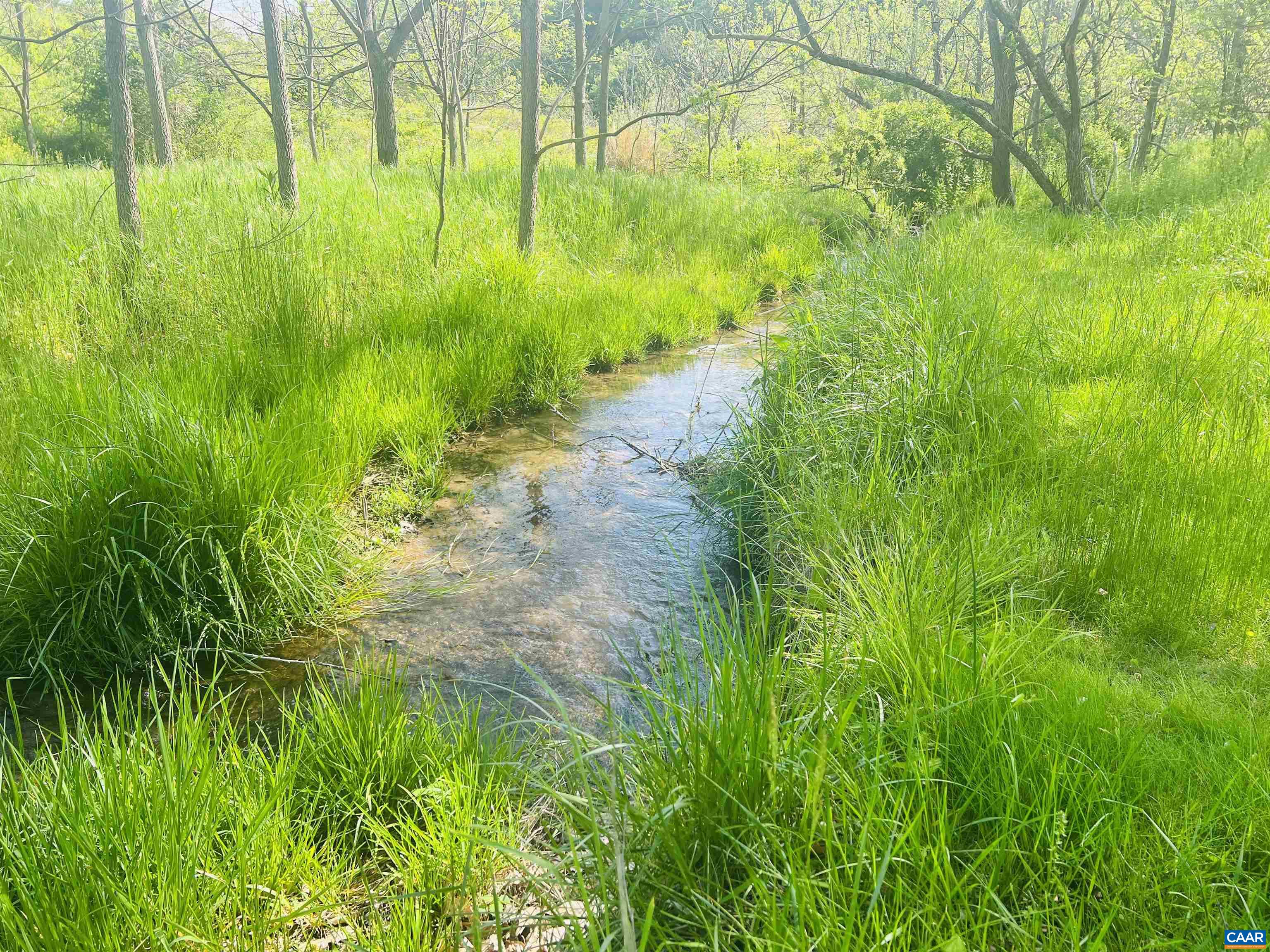 1105 Summerdean Road Middlebrook, VA 24459 - Photo 4 of 75