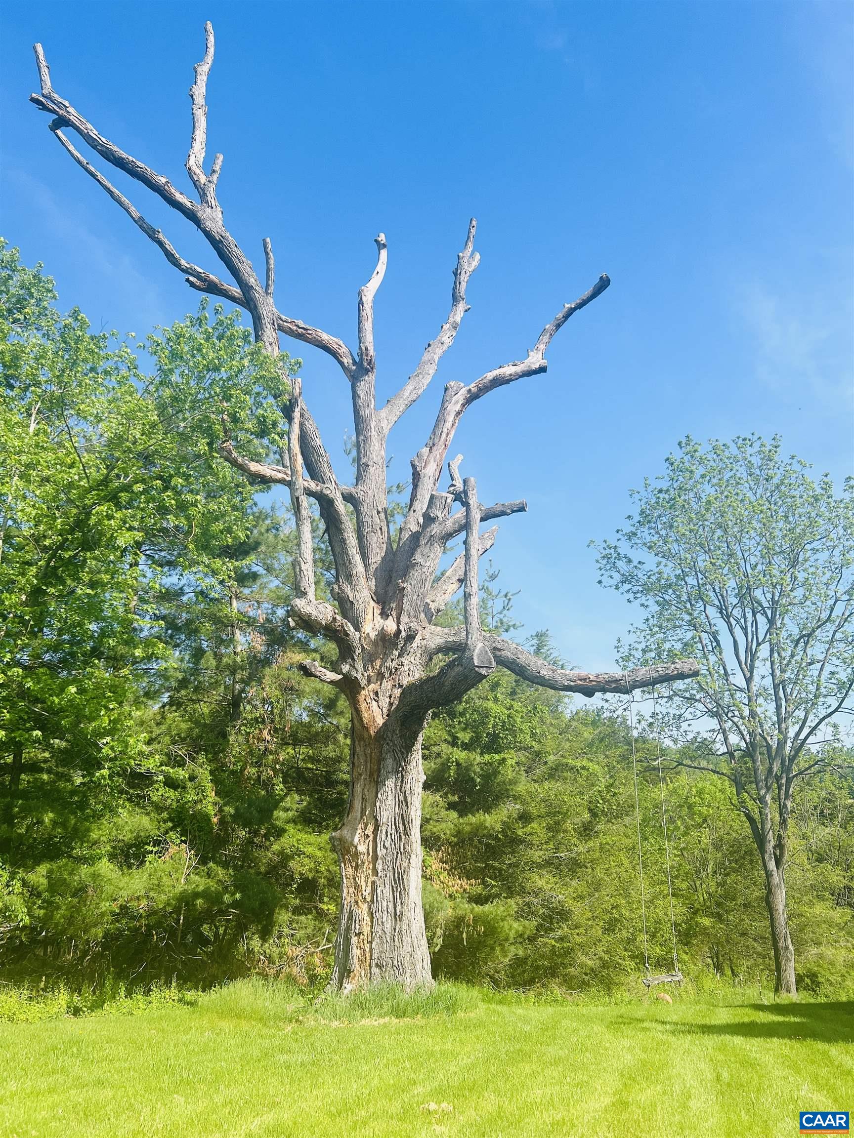 1105 Summerdean Road Middlebrook, VA 24459 - Photo 68 of 75