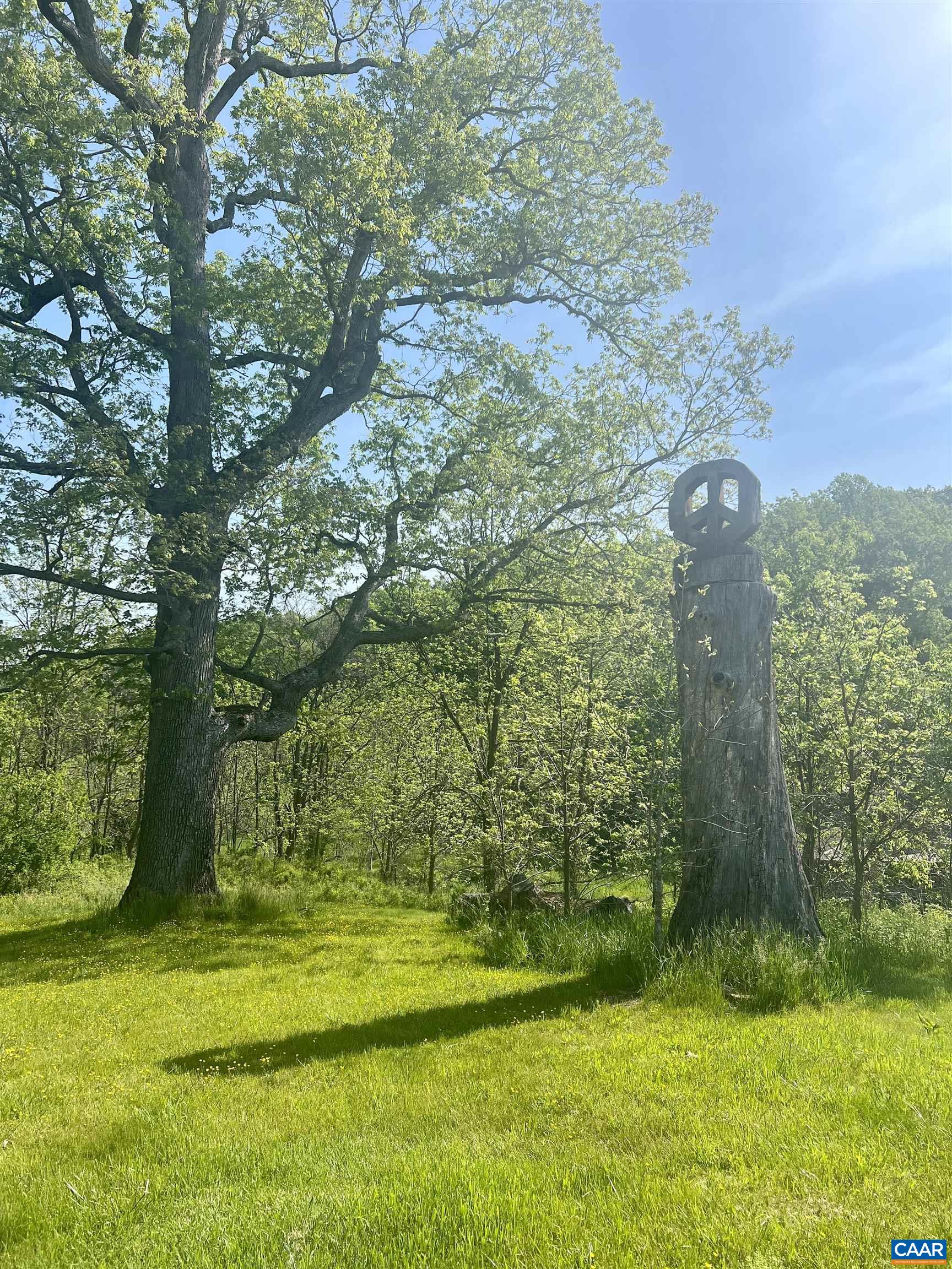 1105 Summerdean Road Middlebrook, VA 24459 - Photo 69 of 75 a view of a big yard with large trees