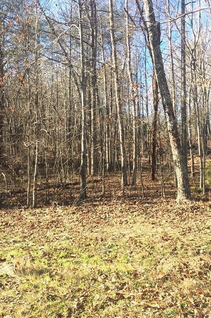 4443 Parker Loop Road Birchwood, TN 37308 - Photo 3 of 9 Gallery Image 3