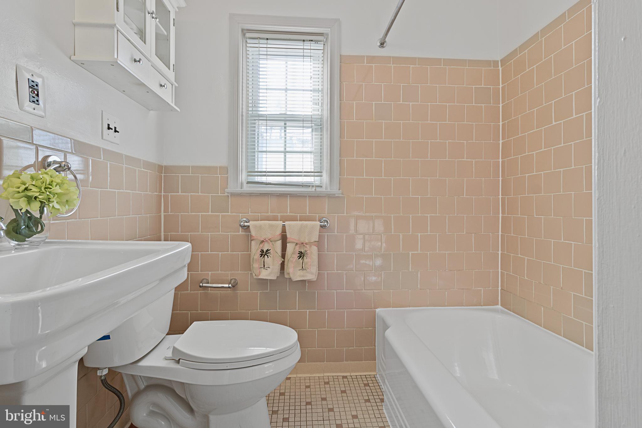3800 V Street Southeast, Unit 101 Washington, DC 20020 - Photo 14 of 28 a bathroom with a sink a toilet and bathtub