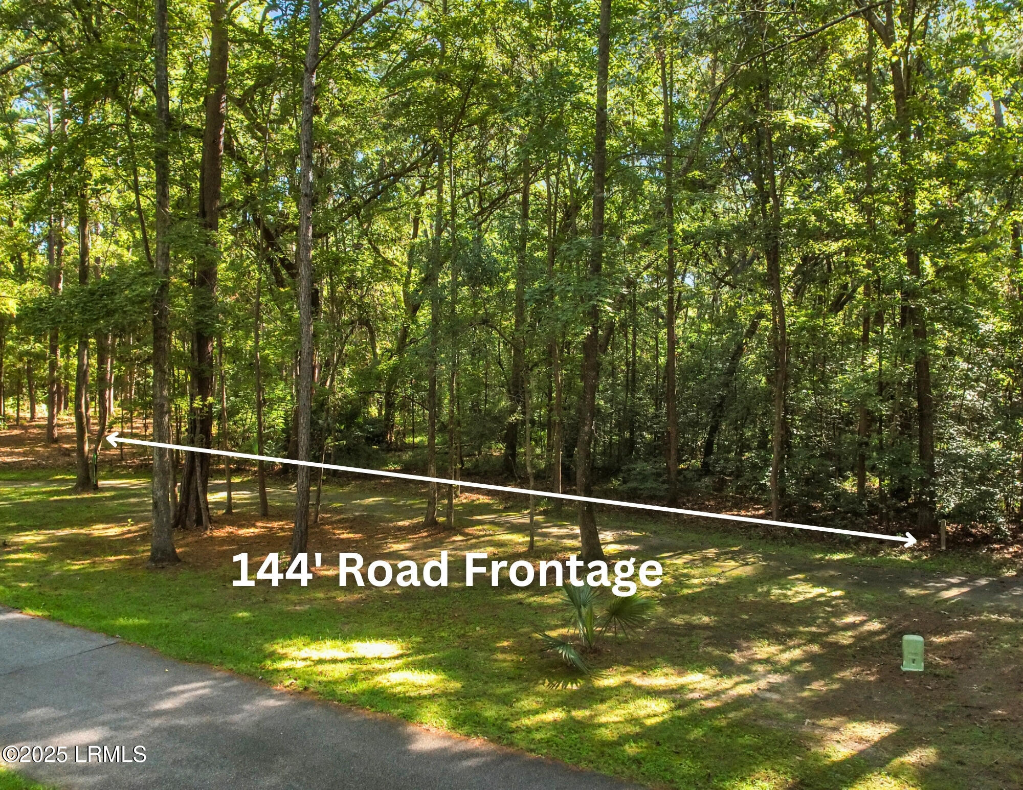 101 Barnaby Bluff Seabrook, SC 29940 - Photo 1 of 84 Mid Ground with Dimensions Edit
