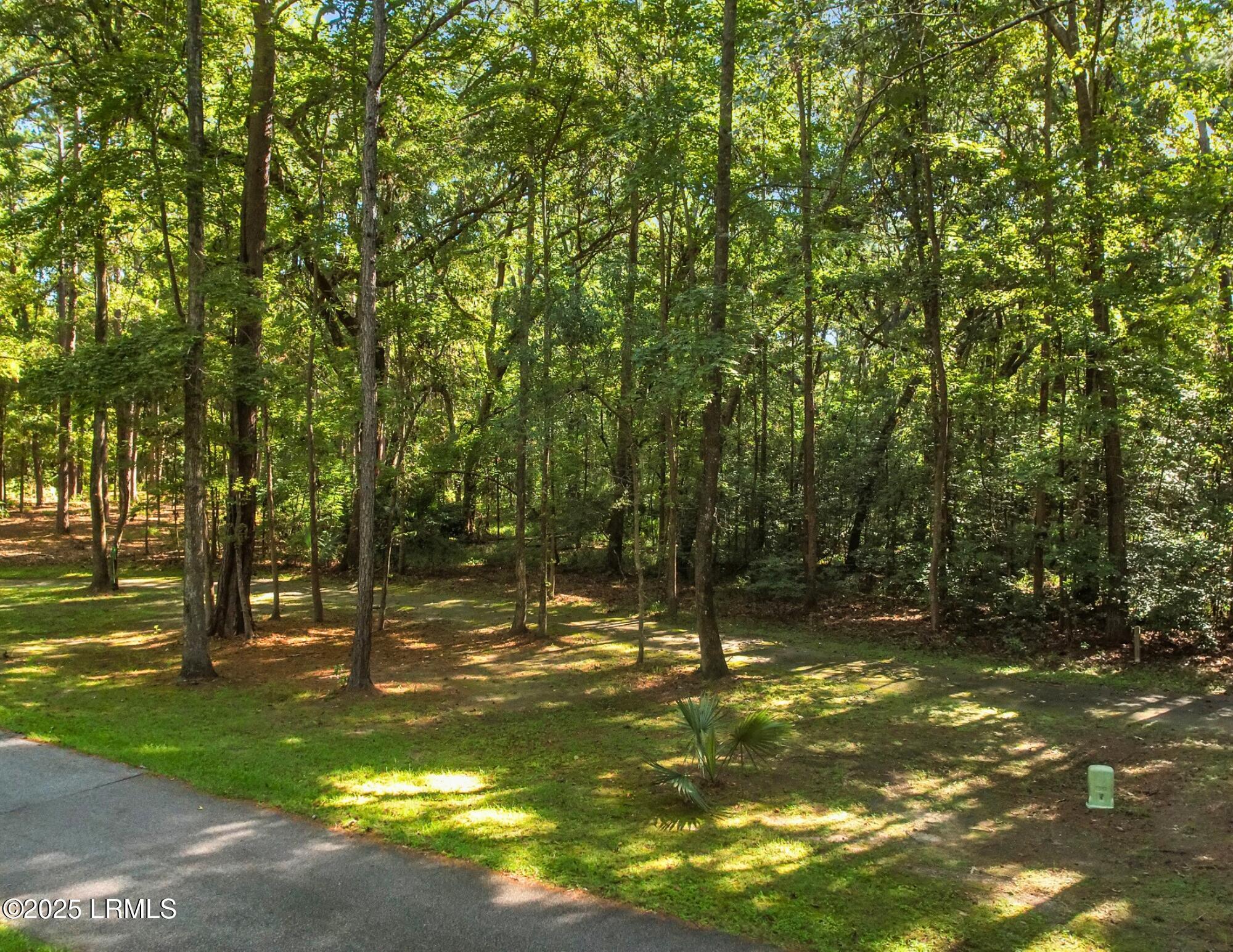 101 Barnaby Bluff Seabrook, SC 29940 - Photo 2 of 84 Mid Ground Edit