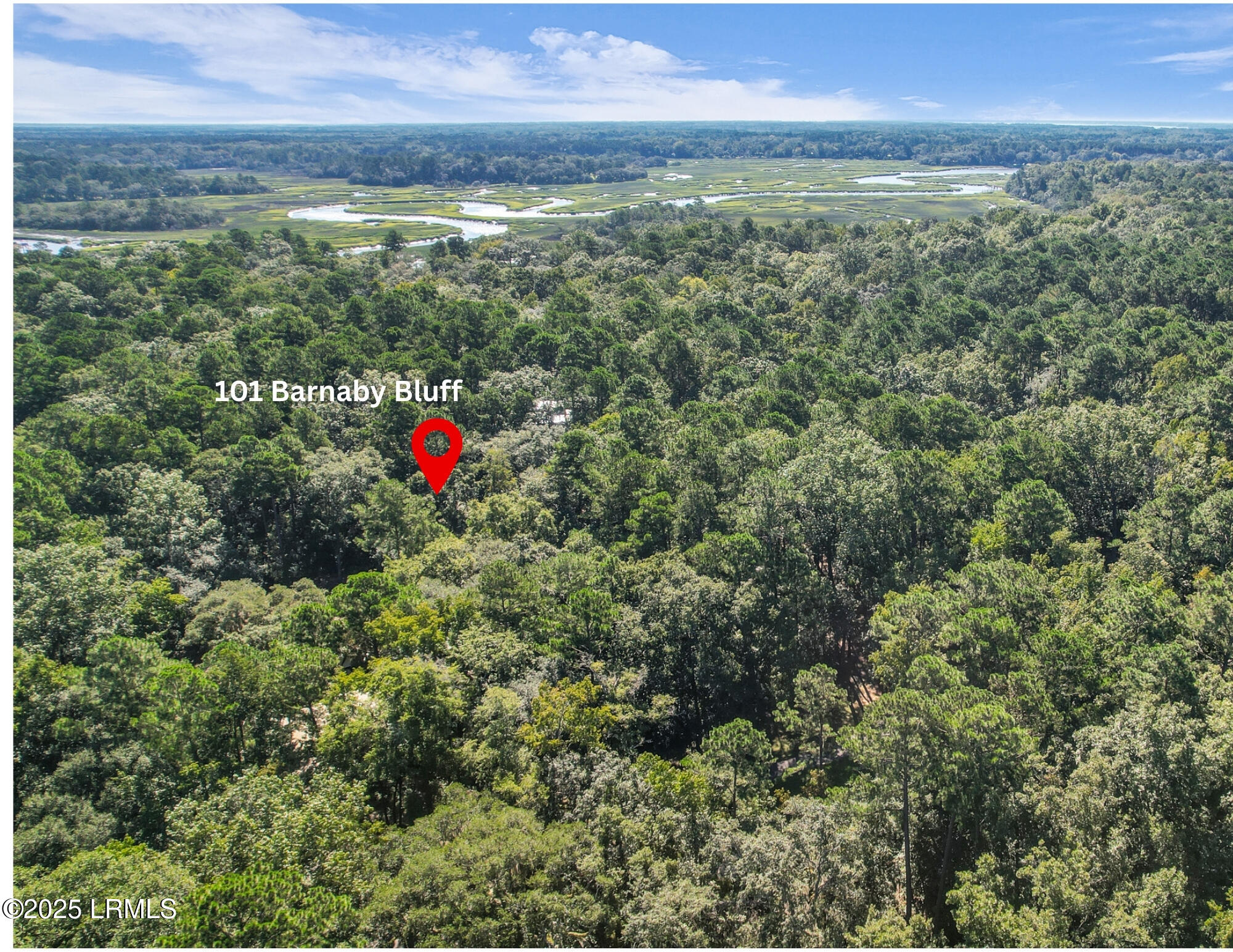 101 Barnaby Bluff Seabrook, SC 29940 - Photo 3 of 84 Drone Edit