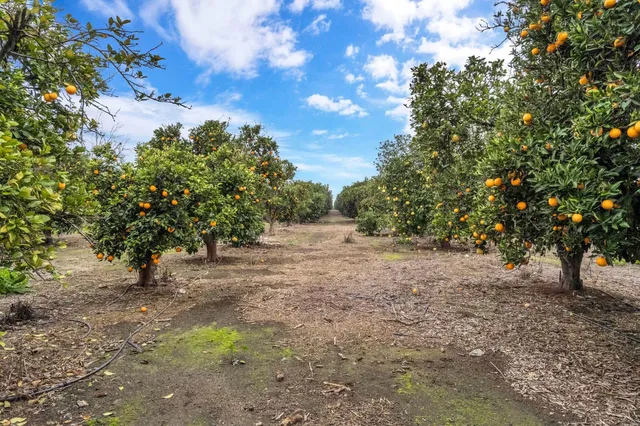an aerial view of a house with a garden and deck