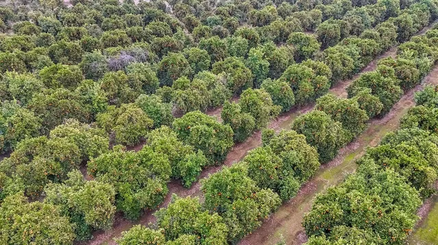 $1,590,000 | 14721 East Tulare Avenue, Sanger, CA 93657