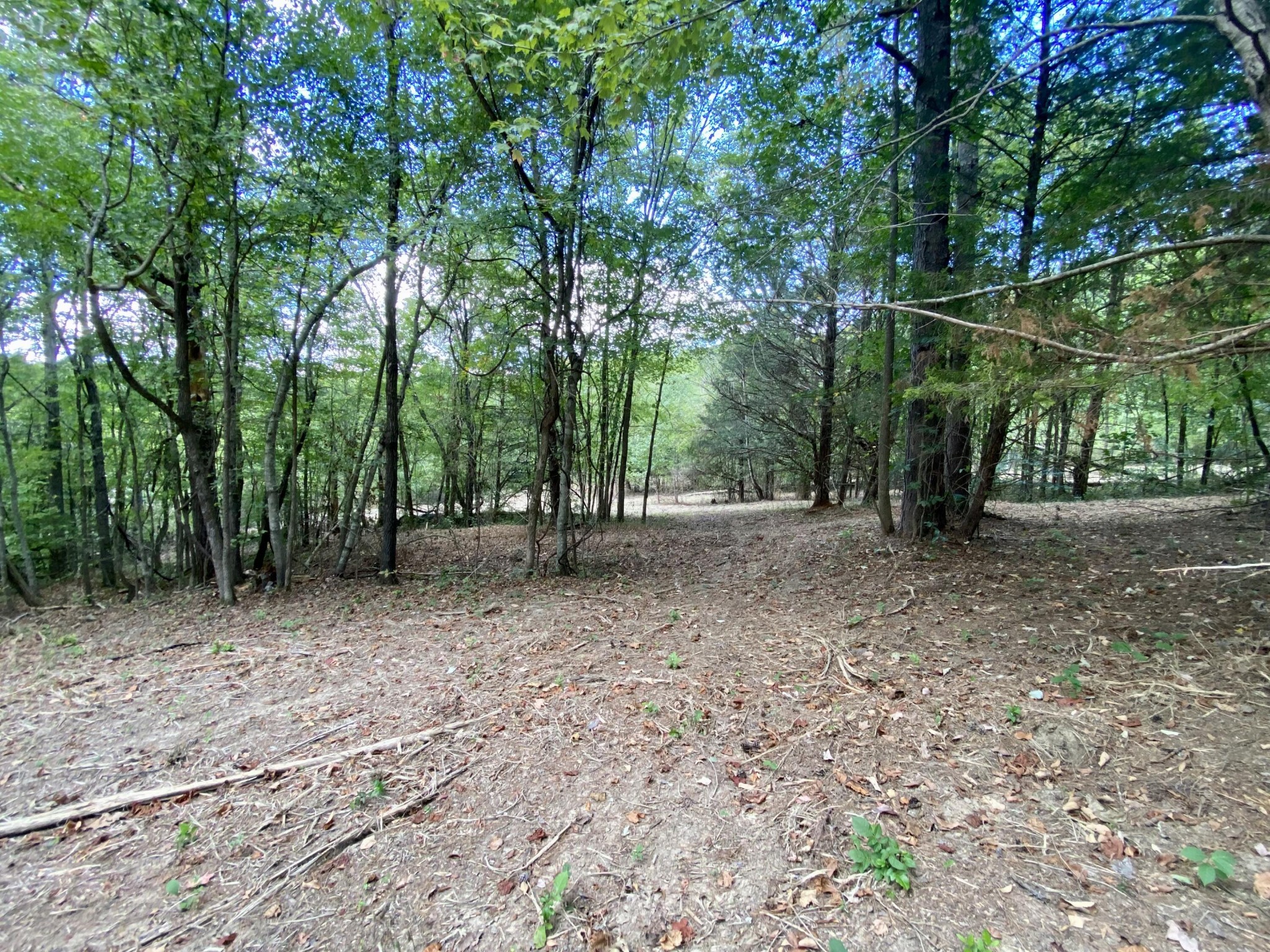 0 Graham Road Dunlap, TN 37327 - Photo 3 of 8 Gallery Image 3