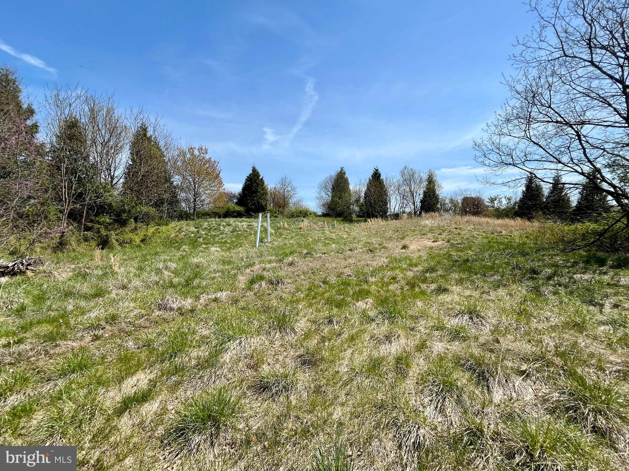 0 Nicholas Loop Chesapeake City, MD 21915 - Photo 4 of 16