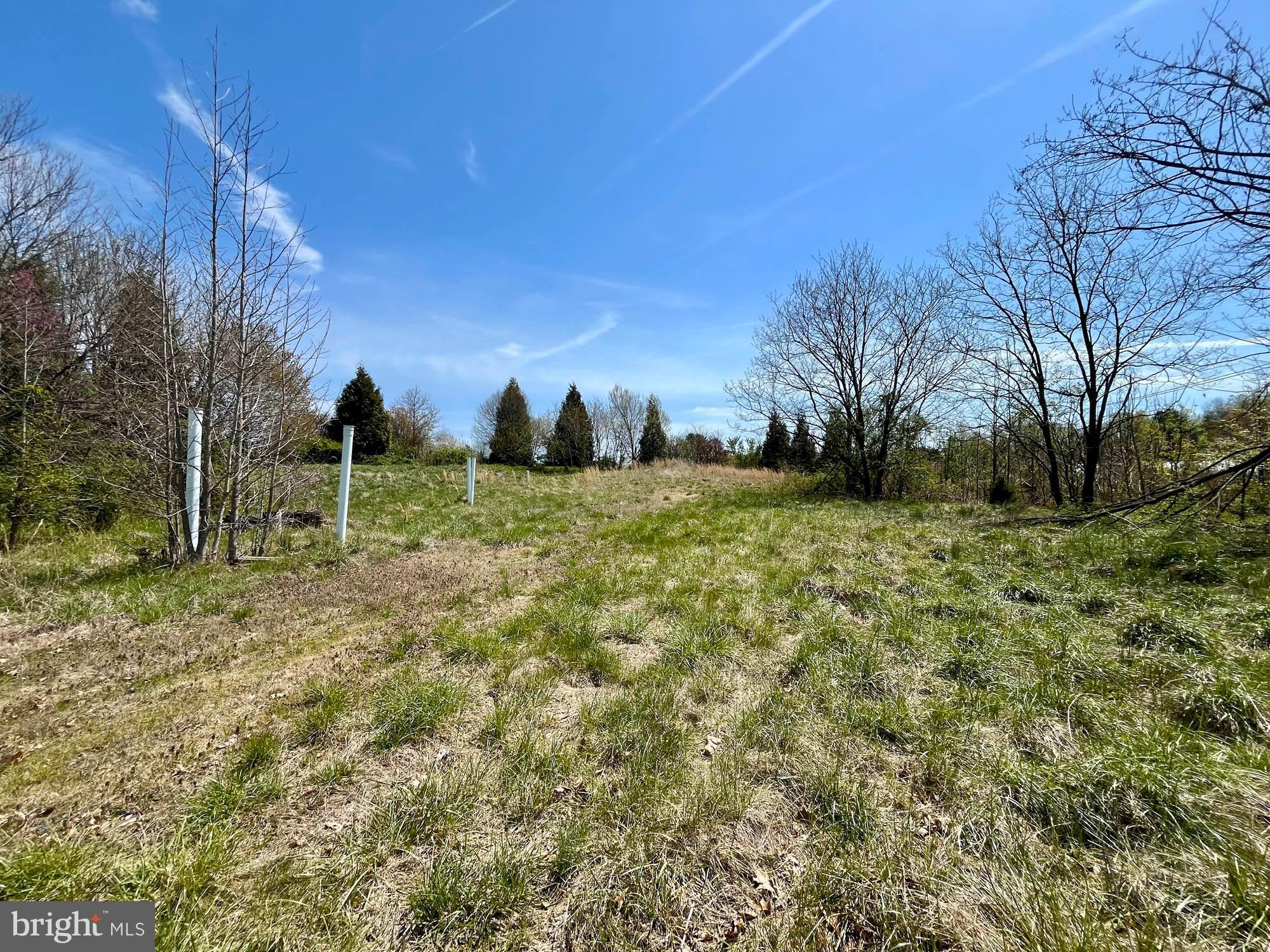 0 Nicholas Loop Chesapeake City, MD 21915 - Photo 5 of 16