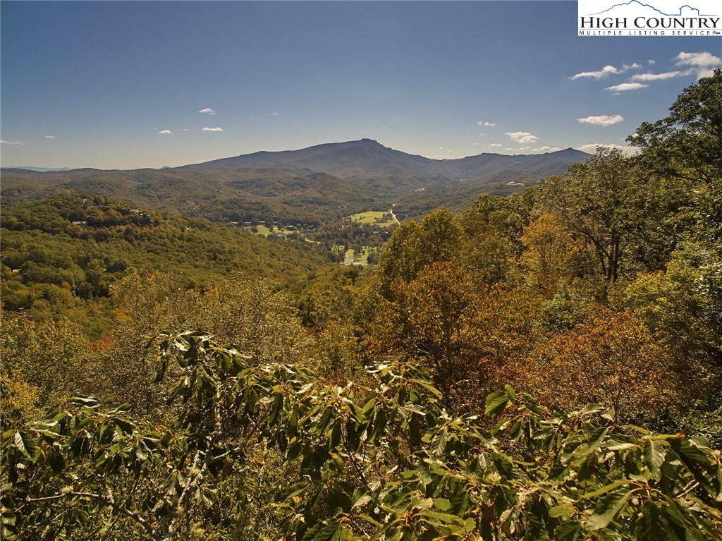 Lot 20 Hialeah Drive Boone, NC 28607 - Photo 1 of 7 Gallery Image 1