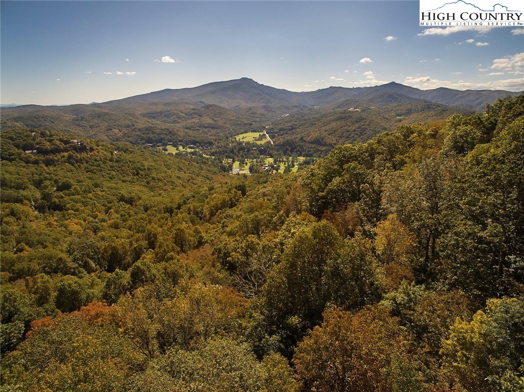 Lot 20 Hialeah Drive Boone, NC 28607 - Photo 2 of 7 Gallery Image 2