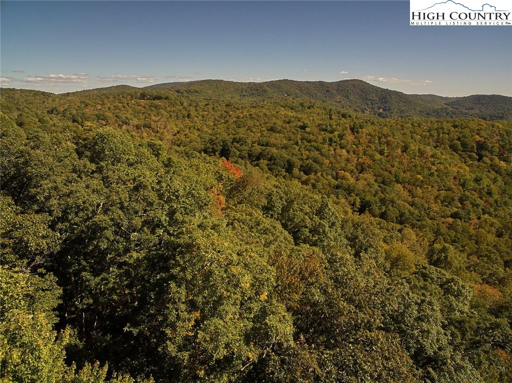Lot 20 Hialeah Drive Boone, NC 28607 - Photo 3 of 7 Gallery Image 3