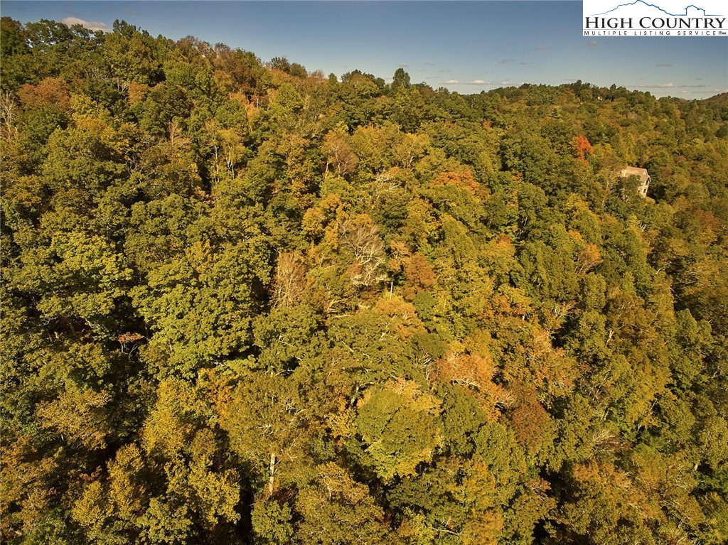 Lot 20 Hialeah Drive Boone, NC 28607 - Photo 5 of 7 Gallery Image 5
