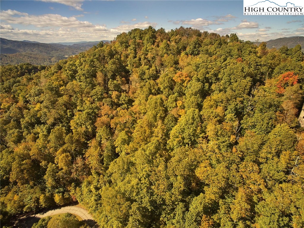 Lot 20 Hialeah Drive Boone, NC 28607 - Photo 6 of 7 Gallery Image 6