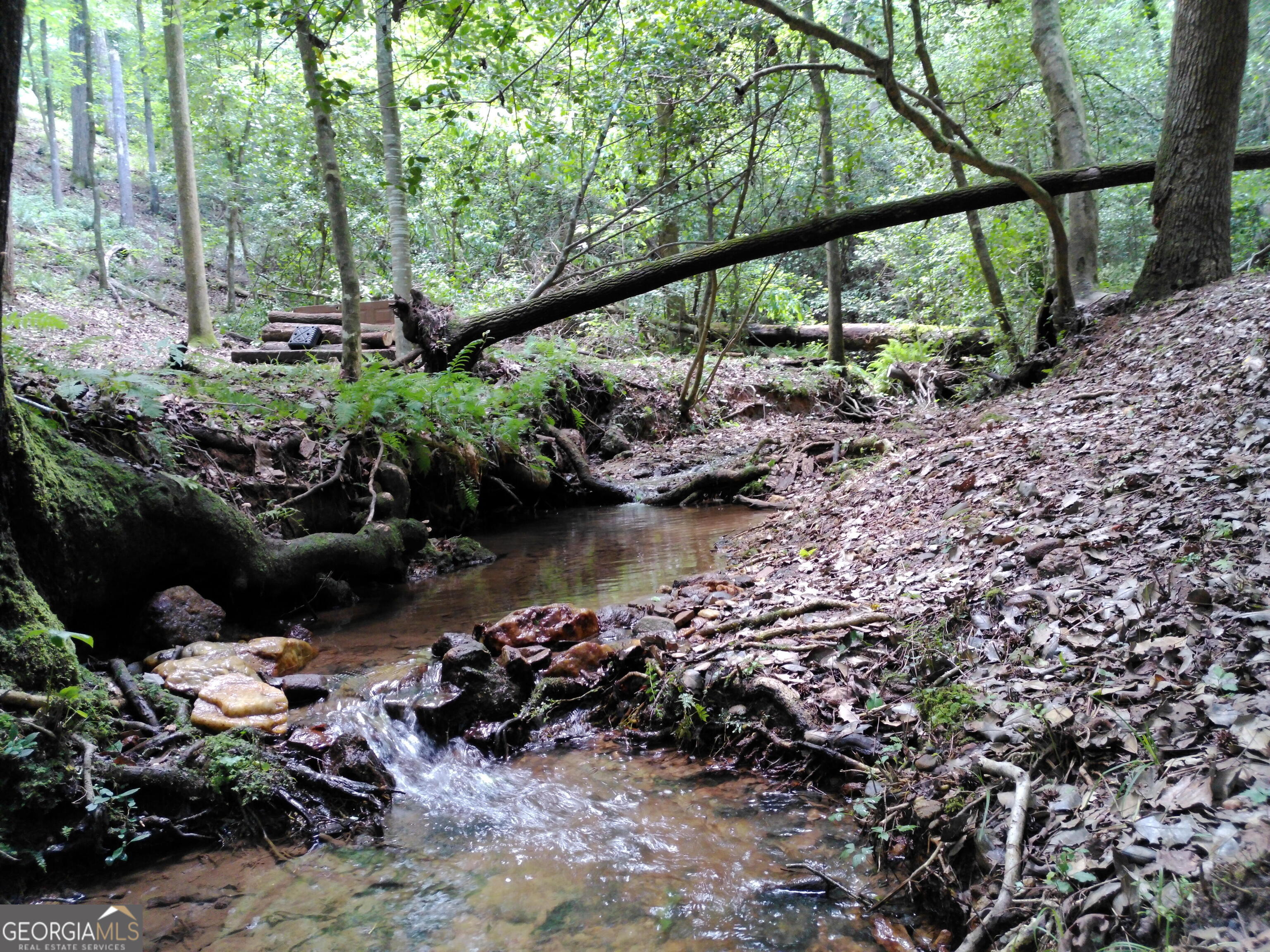 285 Wolf Den Road Royston, GA 30662 - Photo 48 of 61 a view of swimming pool with a yard and sitting area
