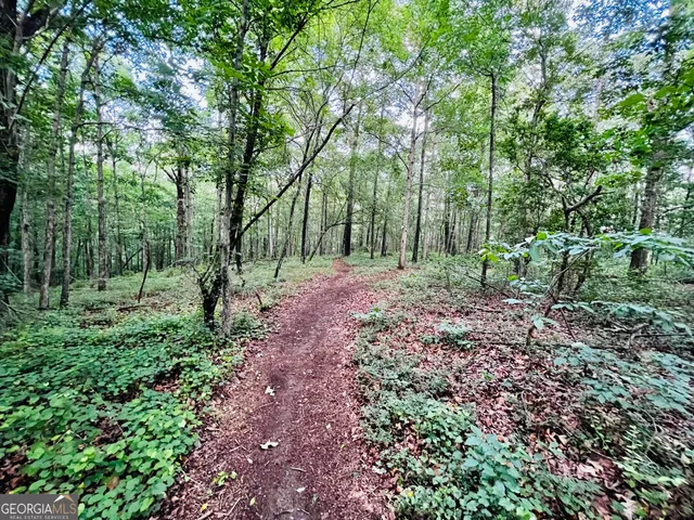 $645,000 | 285 Wolf Den Road, Royston, GA 30662