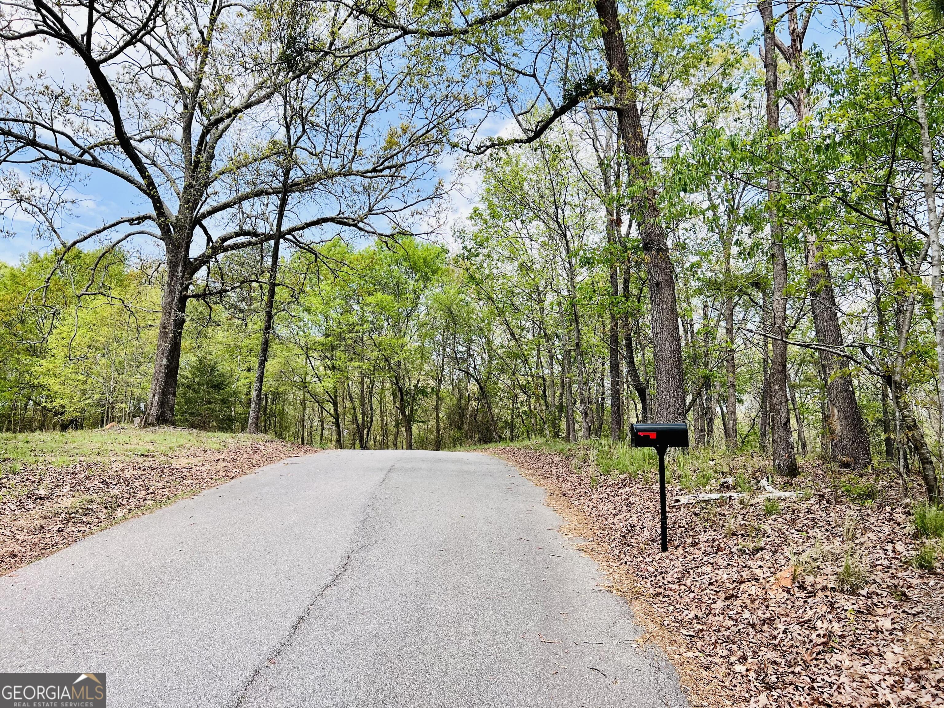 285 Wolf Den Road Royston, GA 30662 - Photo 59 of 60 a backyard of a house with lots of trees and entertaining space