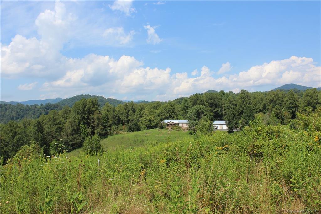 844 Revere Road Marshall, NC 28753 - Photo 14 of 47 Gallery Image 14