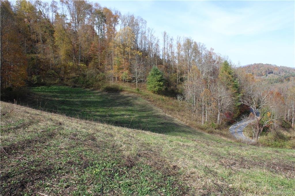 844 Revere Road Marshall, NC 28753 - Photo 36 of 47 Gallery Image 36