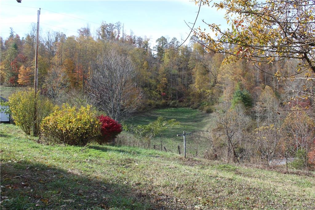 844 Revere Road Marshall, NC 28753 - Photo 10 of 47 Gallery Image 10