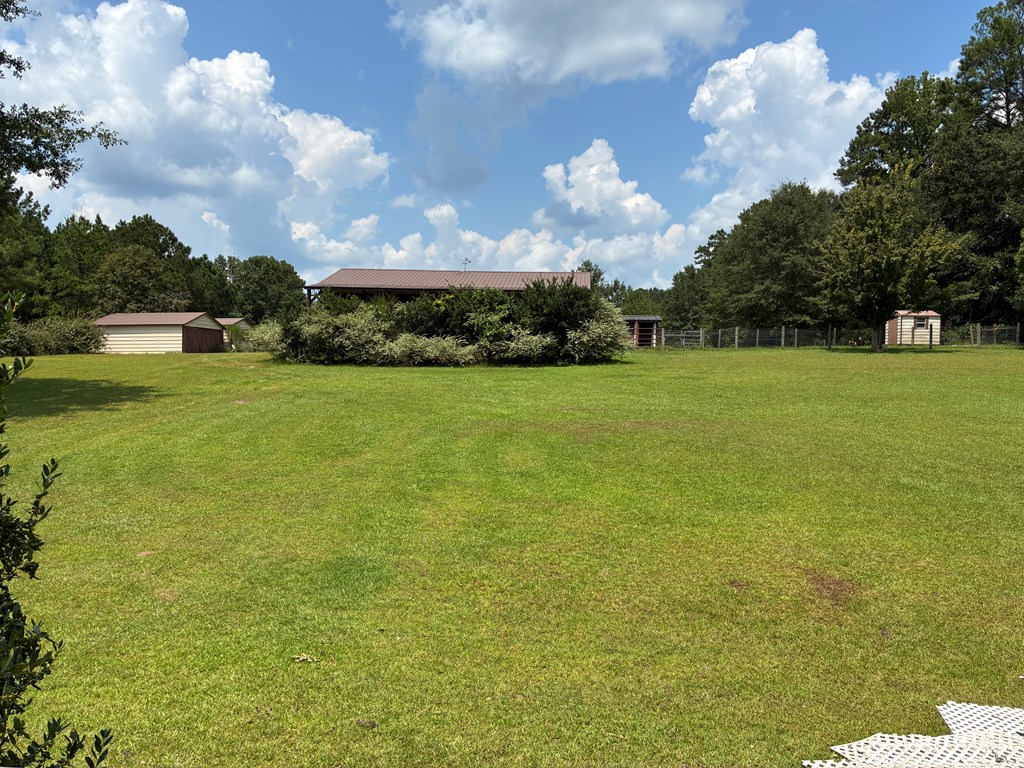 1602 County Road 50 Abbeville, AL 36310 - Photo 52 of 61