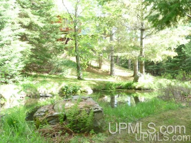 183 Porter Lake Road Crystal Falls, MI 49920 - Photo 10 of 48 Gallery Image 10