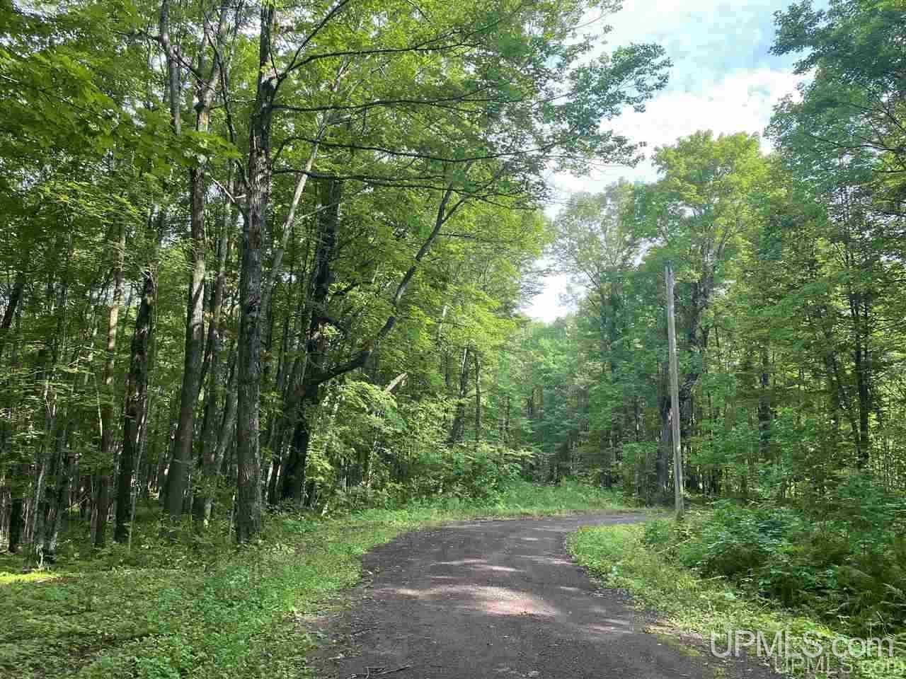 Lot #b Lot Road Marenisco, MI 49947 - Photo 3 of 11