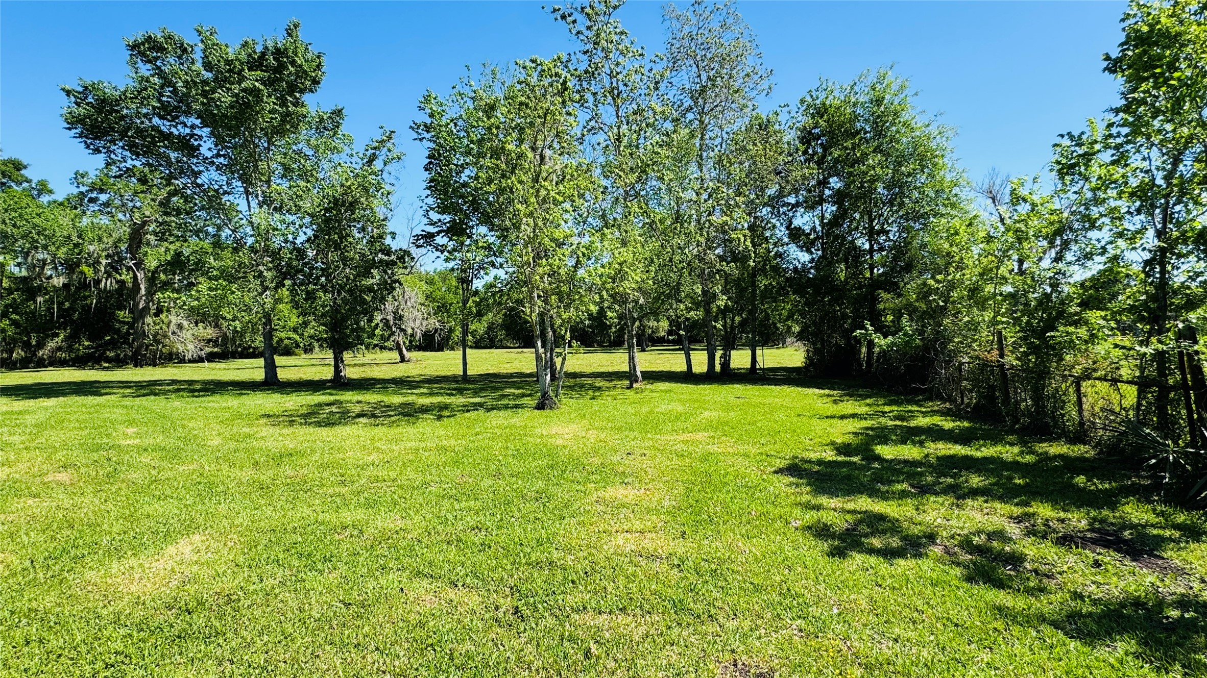1434 County Road 878A Sweeny, TX 77480 - Photo 8 of 36 a view of a park with trees