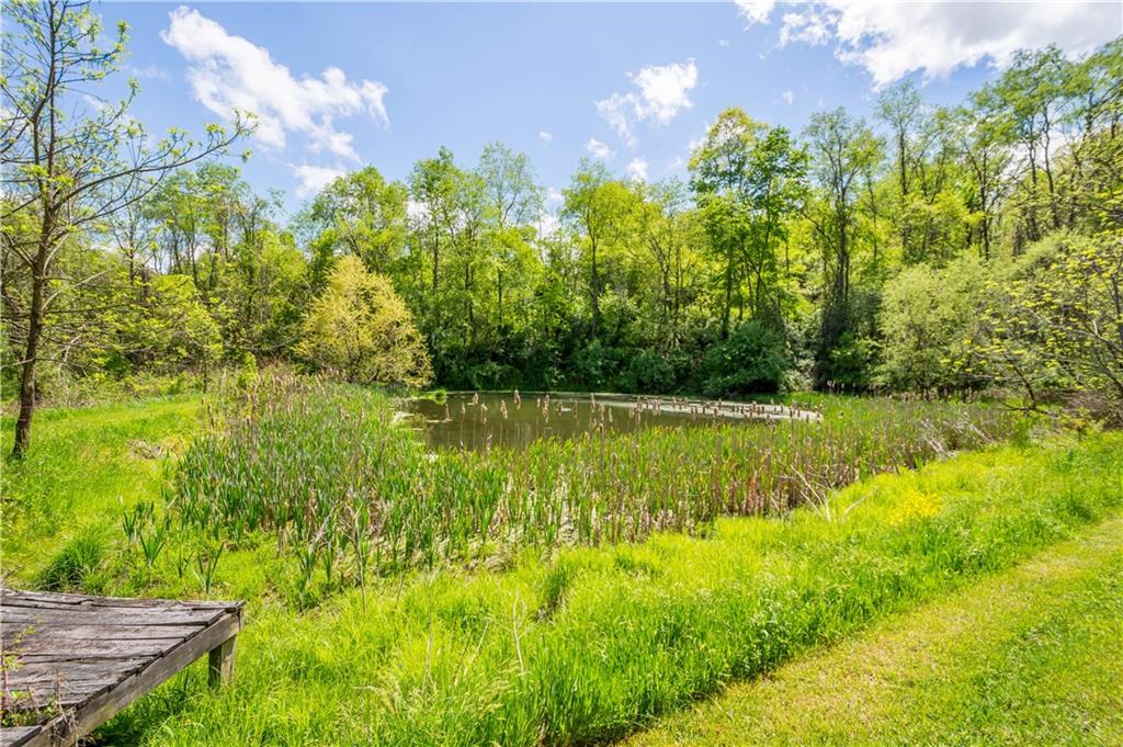 207 Redd Run Road Washington, PA 15301 - Photo 6 of 25 a view of yard with swimming pool and green space