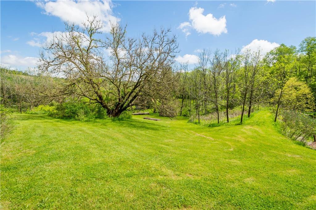 207 Redd Run Road Washington, PA 15301 - Photo 7 of 25 a view of a yard with a tree
