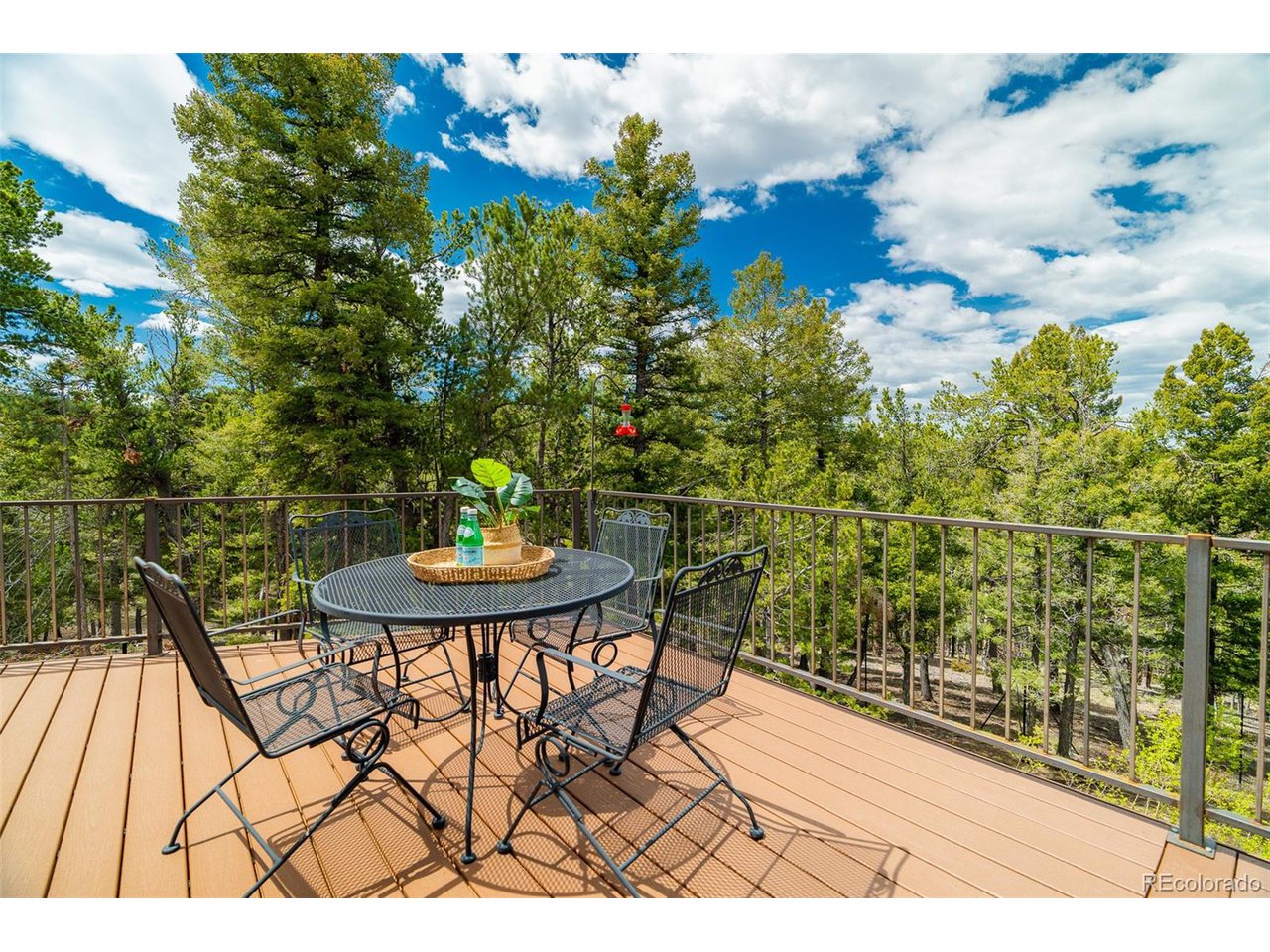 2755 Elk Ridge Divide Divide, CO 80814 - Photo 25 of 50 New composite deck with stunning views of treed hillsides, abundant wildlife, and the Front Range