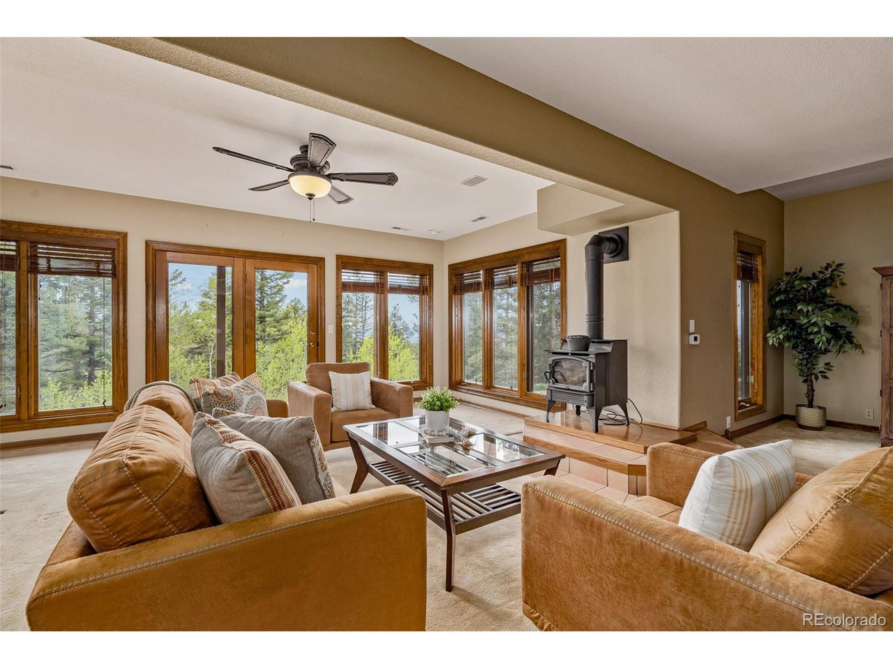 2755 Elk Ridge Divide Divide, CO 80814 - Photo 29 of 50 Full basement with gorgeous windows, wet bar, cozy fireplace, and French door walkout to enclosed rear yard