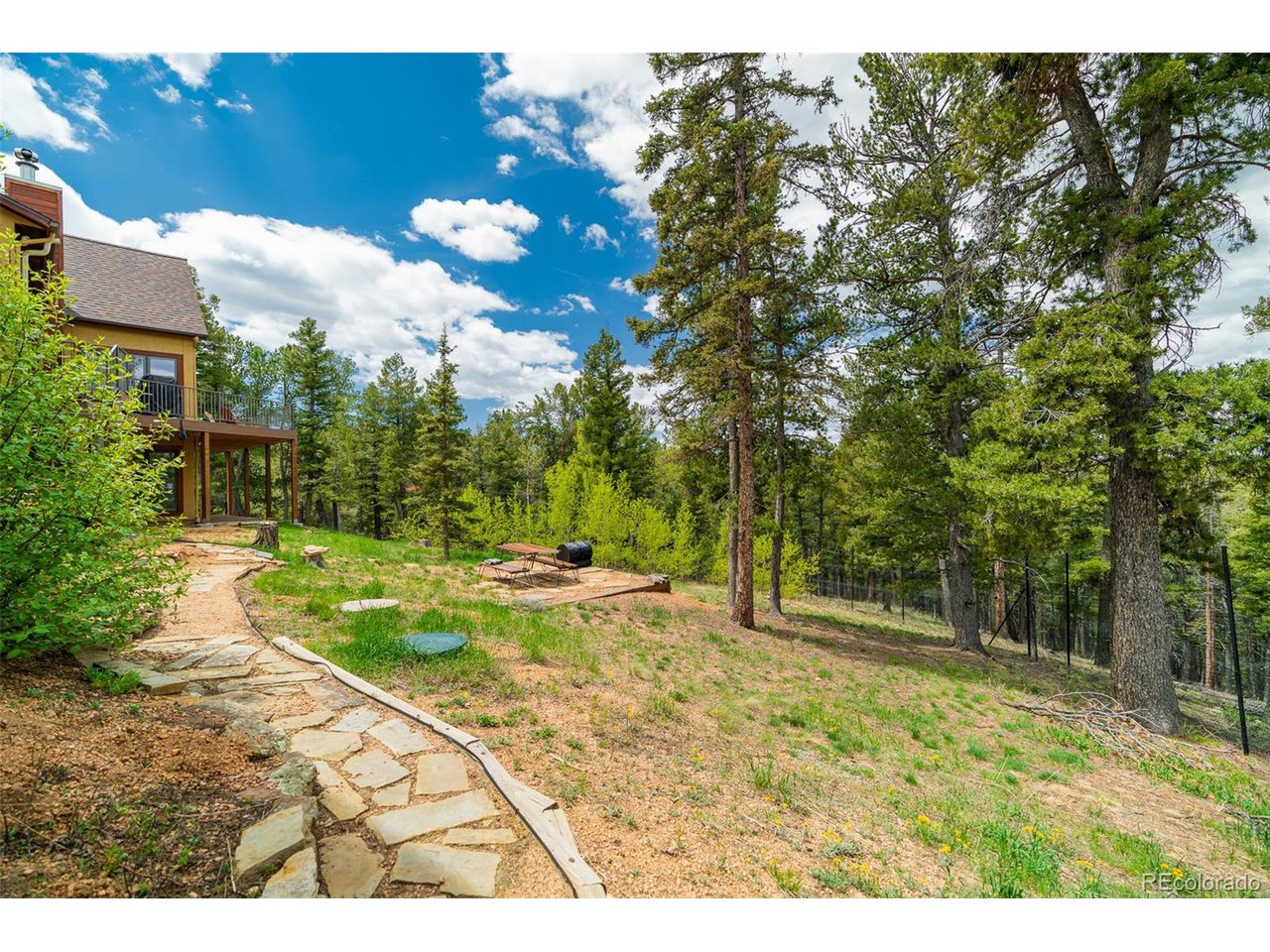 2755 Elk Ridge Divide Divide, CO 80814 - Photo 44 of 50 Footpath around the home