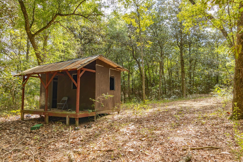 1195 Power Dam Road Newton, AL 36352 - Photo 82 of 87 Gallery Image 82
