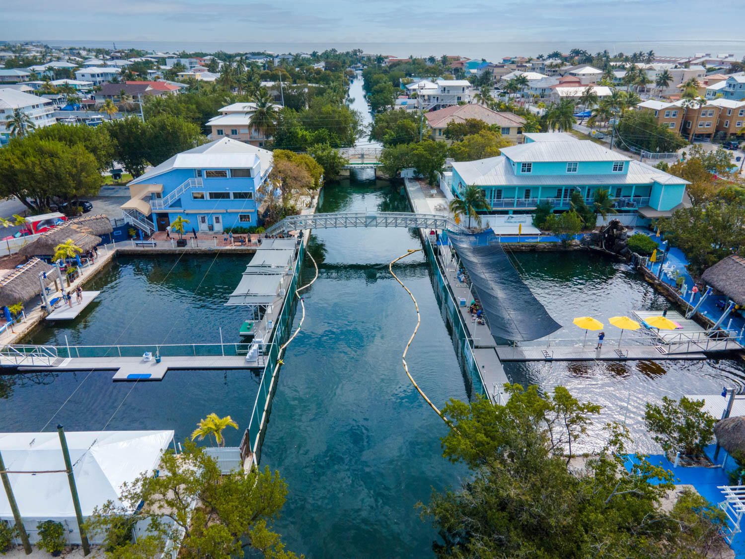 16 Corrine Place Key Largo, FL 33037 - Photo 44 of 50 an aerial view of a house with swimming pool outdoor seating and yard